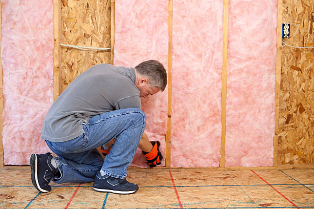 Best Spray Foam Insulation in Lake St Croix Beach, MN